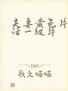 夫妻黄色片性生活一级片