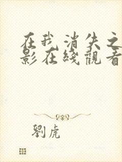 在我消失之前电影在线观看免费播放