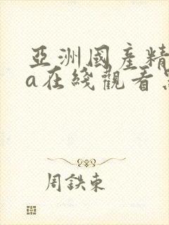 亚洲国产精品va在线观看黑人