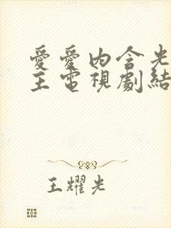 爱爱内含光双男主电视剧结局台剧免费观看