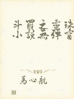 斗罗之灵珠神剑小说无弹窗全文免费阅读