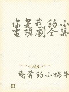 你是我的小确幸电视剧全集免费观看高清