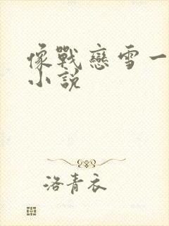 像战恋雪一样的小说封面