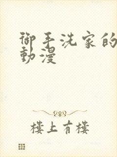 御手洗家的破洞动漫