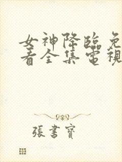 女神降临免费观看全集电视剧韩剧网