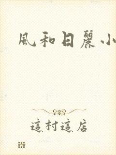 风和日丽小说
