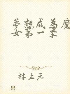 梦想成为魔法少女第一季