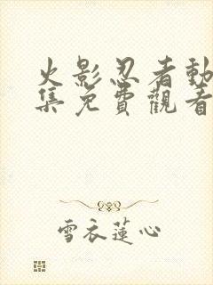 火影忍者动漫全集免费观看完整版封面