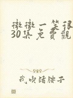 微微一笑很倾城30集免费观看高清