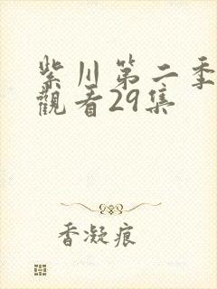 紫川第二季在线观看29集