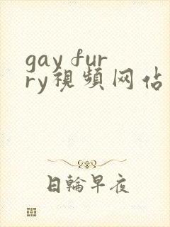 gay furry视频网站