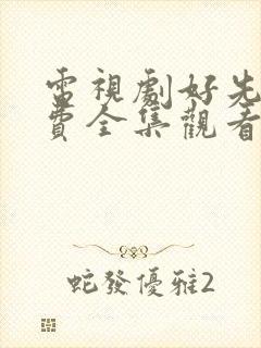 电视剧好先生免费全集观看高清