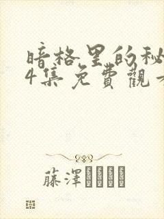 暗格里的秘密24集免费观看电视剧