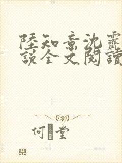 陆知意沈霁川小说全文阅读