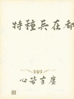 特种兵在都市