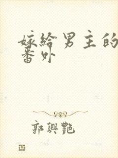嫁给男主的舅舅番外