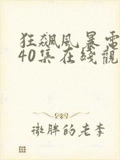 狂飙风暴电视剧40集在线观看免费