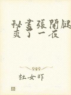 秘书张开腿让我爽了一夜封面