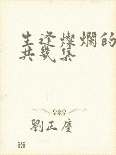 生逢灿烂的日子共几集