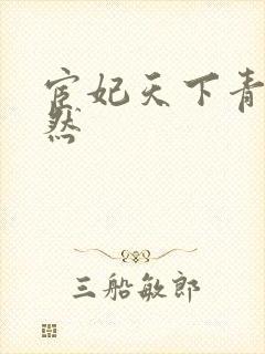 宦妃天下青青悠然封面