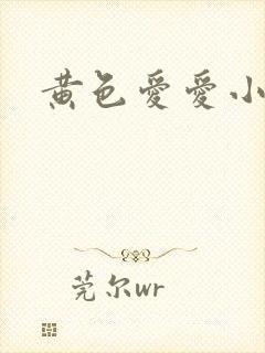 黄色爱爱小说封面