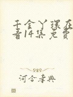 千金丫环在线观看14集免费