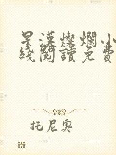 星汉灿烂小说在线阅读免费