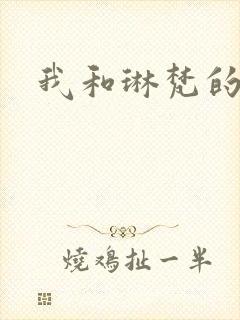 我和琳梵的故事