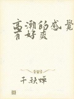 高潮的感觉到底有好爽