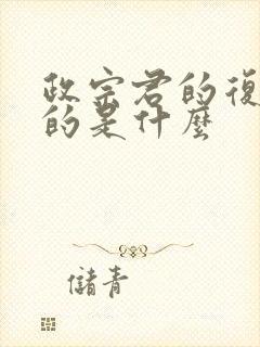 政宗君的复仇讲的是什么