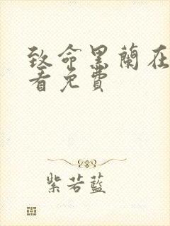 致命黑兰在线观看免费