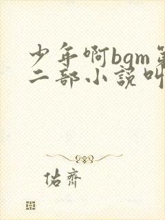少年啊bgm第二部小说叫什么