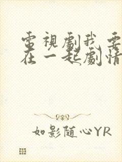 电视剧我要和你在一起剧情介绍封面