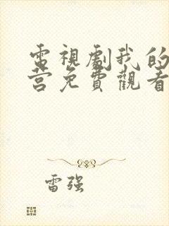 电视剧我的特一营免费观看