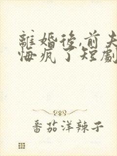 离婚后,前夫他悔疯了短剧免费观看