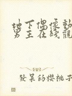 地下偶像动漫双男主在线观看动漫封面