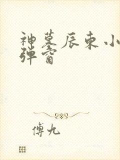 神墓辰东小说无弹窗