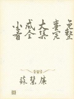 小成大事免费观看全集完整版高清