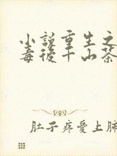 小说重生之将门毒后千山茶客目录封面