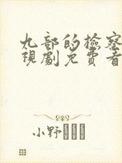 九部的检察官电视剧免费看全集