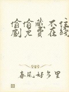 偷偷藏不住电视剧免费在线看