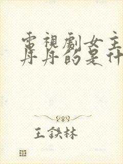 电视剧女主角叫丹丹的是什么电视剧