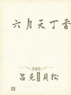 六月天丁香婷婷