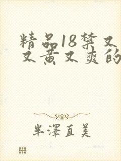 精品18禁又污又黄又爽的网站