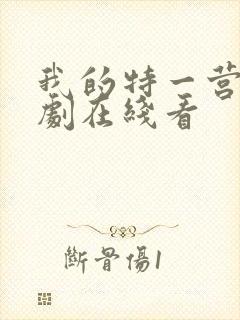 我的特一营电视剧在线看