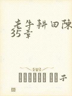 老牛耕田陈雪435章