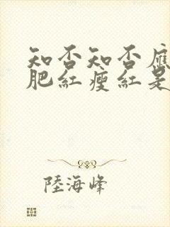 知否知否应是绿肥红瘦红是什么花