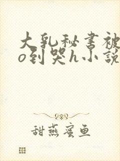 大乳秘书被cao到哭h小说