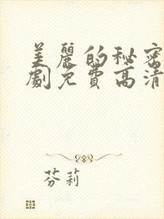 美丽的秘密电视剧免费高清观看封面