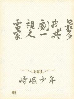 电视剧我最爱的家人一共多少集封面